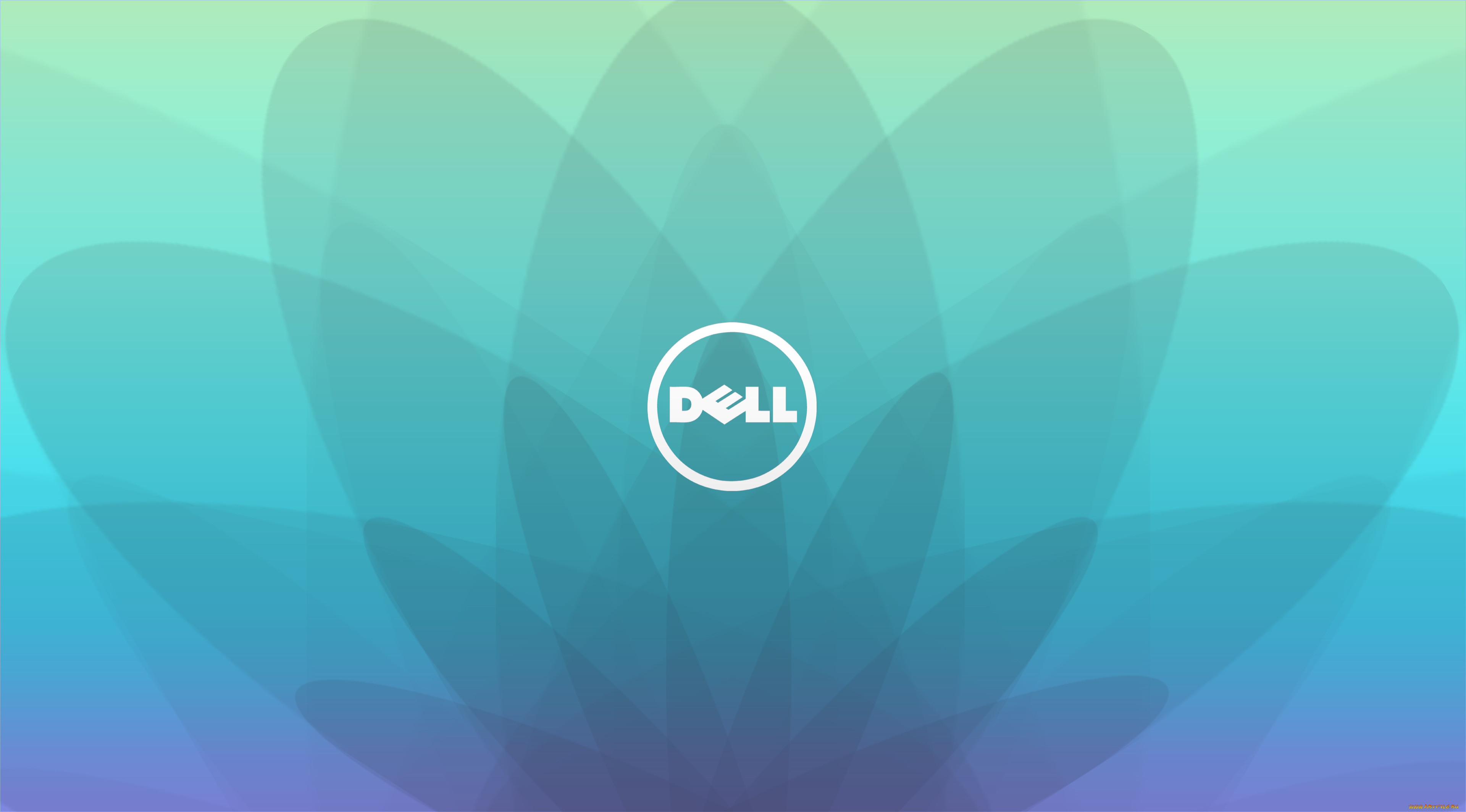 , dell, , 